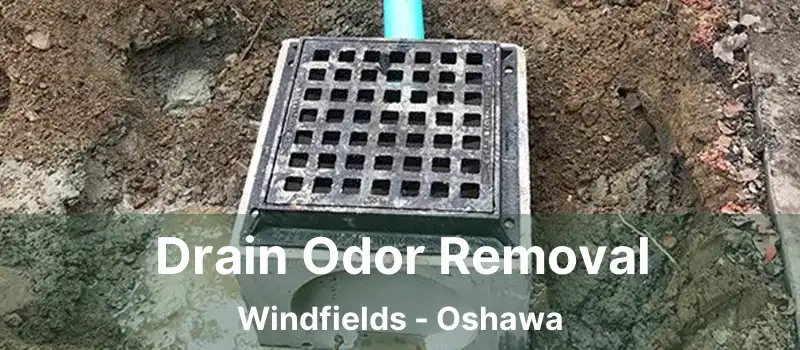  Drain Odor Removal Windfields - Oshawa